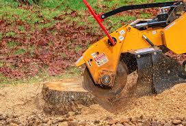 Best Aeration Services  in Lockney, TX
