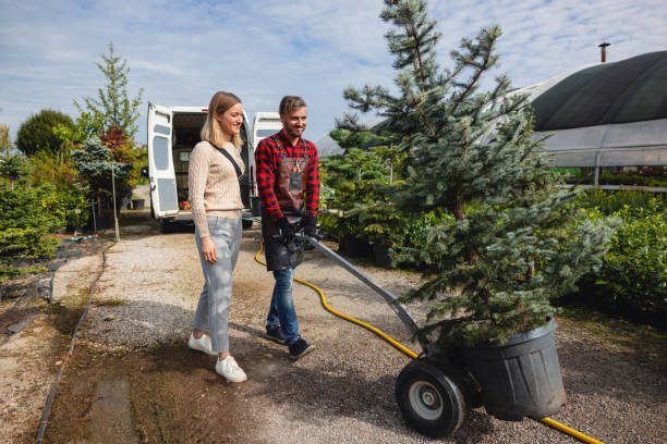 Best Tree Health Inspection  in Lockney, TX
